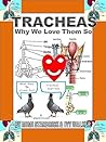 Tracheas: Why We Love Them So Tracheas: Why We Love Them So