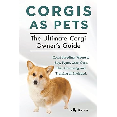 corgi breed types