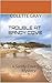 TROUBLE AT SANDY COVE: A Sandy Cove Cozy Mystery 1 (No.1 in The Sandy Cove Series of Cozy Mystery Novellas)