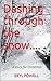 Dashing through the snow....: A story for Christmas