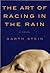The Art of Racing in the Rain