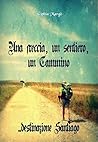 Una freccia, un sentiero, un Cammino: destinazione Santiago (Italian Edition)