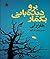 برو دیده‌ بانی بگمار