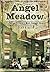 Angel Meadow: Victorian Britain's Most Savage Slum