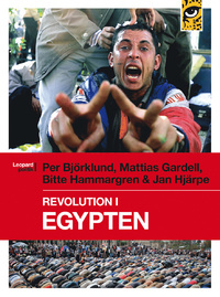 Revolution i Egypten: En gnista kan tända en präriebrand (Paperback)