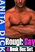 The Rough and Gay Box Set