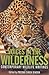 Voices in the Wilderness Co...