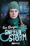Sneeuwstorm