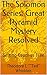 The Solomon Series: Great Pyramid Mystery Resolved (Volume 1): Setting Captives Free