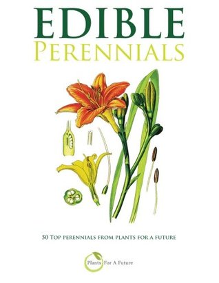 Edible Perennials: 50 Top perennials from plants for a future (Paperback)
