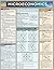 Microeconomics (Quickstudy: Business)