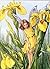 Counted Cross Stitch Pattern: "The Iris Fairy" by Cicely Mary Barker: Flower Fairies (The Flower Fairy Series)