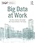 Big Data at Work (SIOP Organizational Frontiers Series)
