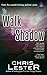 To Walk in Shadow: A Tale of Metamor City