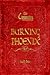 The Chronicles of Heaven's War: Burning Phoenix
