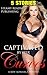 Romance: Captivated By Her Curves, 5 STORY ROMANCE BUNDLE (Short Stories, Contemporary, Women's Fiction)