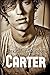Carter: Gay Erotica Coming of Age Love Story