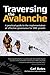 Traversing the Avalanche: A...