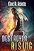 Destroyer Rising (Vesik, #5)