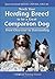 Teach Your Herding Breed to Be a Great Companion Dog by Dawn Antoniak-Mitchell