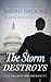 The Storm Destroys (The Billionaire President, #8)