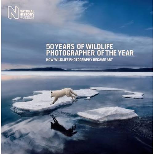 50 Years Of Wildlife Photographer Of The Year How Wildlife Photography Became Art By Rosamund Kidman Cox