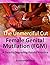 Female Genital Mutilation (...