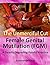 Female Genital Mutilation (FGM) by Emmanuel Ebah