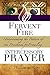 Fervent Fire: Understanding the Pattern of the Priesthood for Prevailing Intercessory Prayer (The Priest and Warrior Intercessor Series)