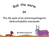 Bob the worm: The life cycle of an entomopathogenic Heterorhabditis nematode