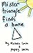 Mister Triangle Finds A Home