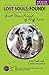 Lost Souls: FOUND! Great Da...