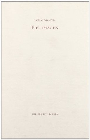 Fiel imagen (Paperback)