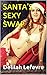 Santa's Sexy Swap