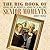 The Big Book of Senior Moments: Humorous Jokes and Anecdotes as a Reminder That We All Forget