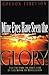 Mine Eyes Have Seen the Glory by Gordon Ferguson