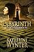 Labyrinth: The Keeper Chron...