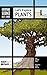 Let's Explore Plants (Everyday Science Facts Series Book 1)