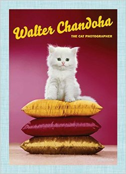 Walter Chandoha: The Cat Photographer (Hardcover)