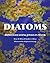 Diatoms: Unnoticed Living Jewels in Water