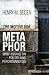 The Motive for Metaphor: Brief Essays on Poetry and Psychoanalysis