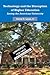 Technology and the Disruption of Higher Education: Saving the American University (Color Version)