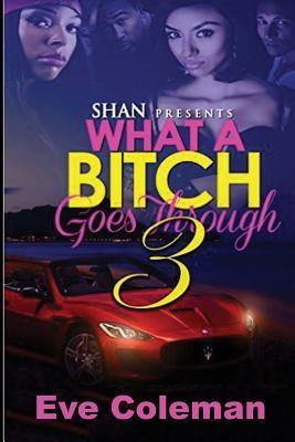 What a Bitch Goes Through 3