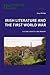 Irish Literature and the Fi...