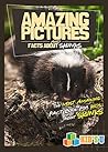 Amazing Pictures and Facts About Skunks: The Most Amazing Fact Book for Kids About Skunks
