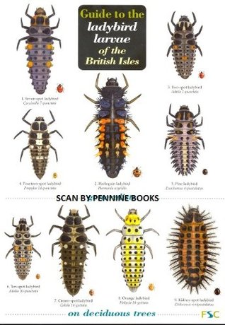 Guide to the Ladybird Larvae of the British Isles (Wall Chart)