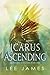 Icarus Ascending (LA Private Detectives, #1)