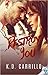 Destroy You (Destroy #3)