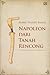 Napoleon dari Tanah Rencong: Novelisasi Perjuangan Hasan Saleh