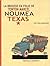 Noumea Texas la Brousse en Folie Tome 22 by Bernard Berger